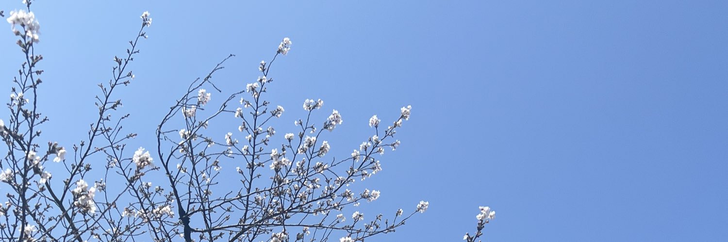 erna_d's profile banner image