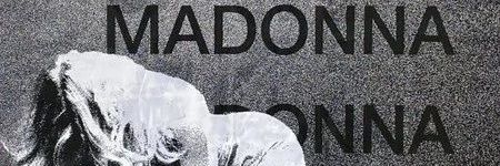 sthef ⚢ banner
