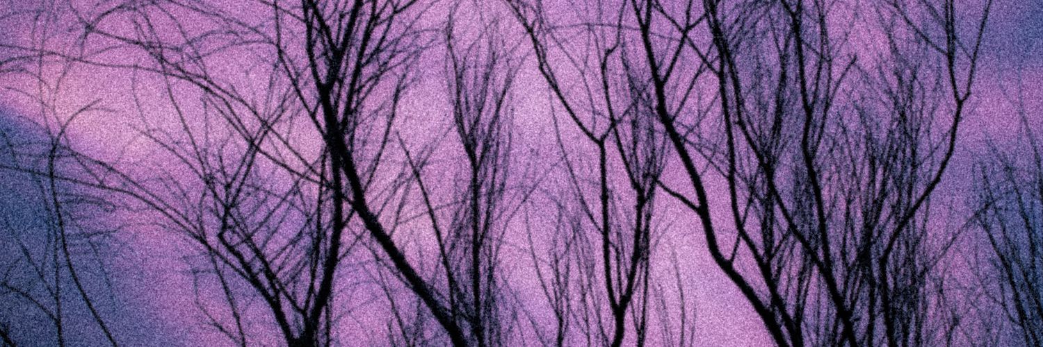 JoseFToache's profile banner image