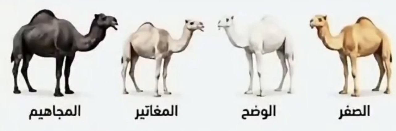 اعمال واقتصاد banner