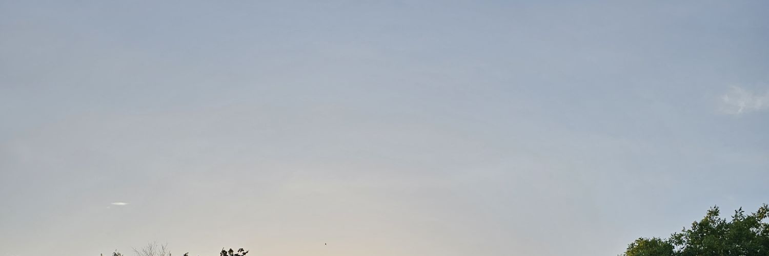 hellobeanie's profile banner image