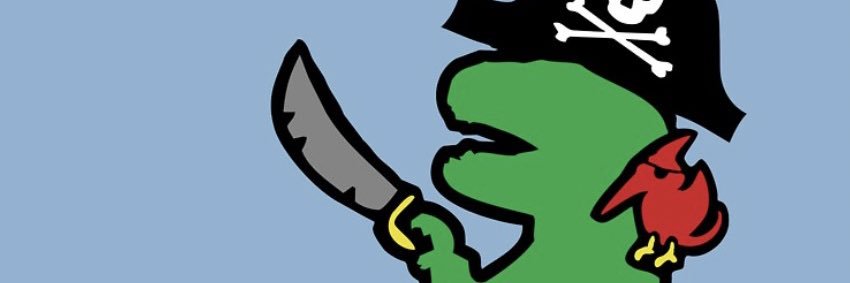 Cpt.DMT 🏴‍☠️ banner