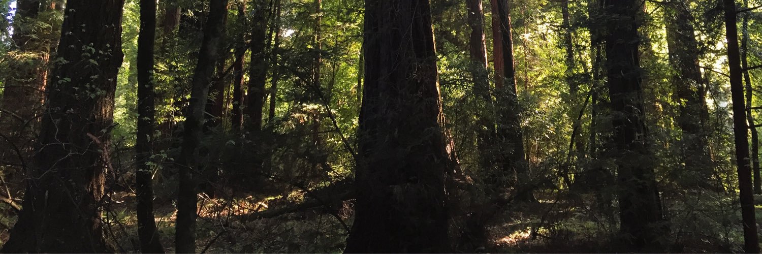 nap_thyme's profile banner image
