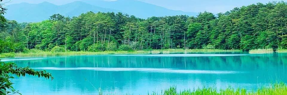 shige_cham's profile banner image