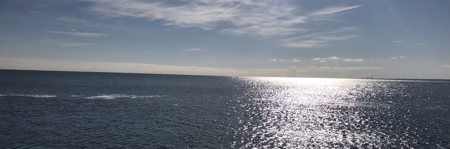 daningerss's profile banner image