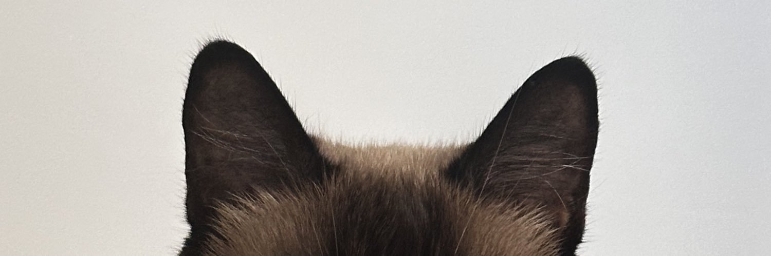 sab_mp4's profile banner image
