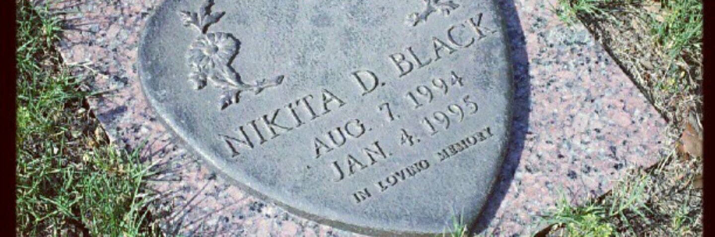 Nick B. 🦁 banner
