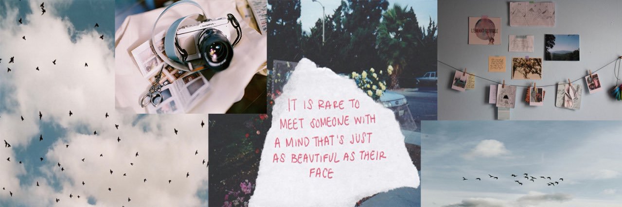 needmylou's profile banner image