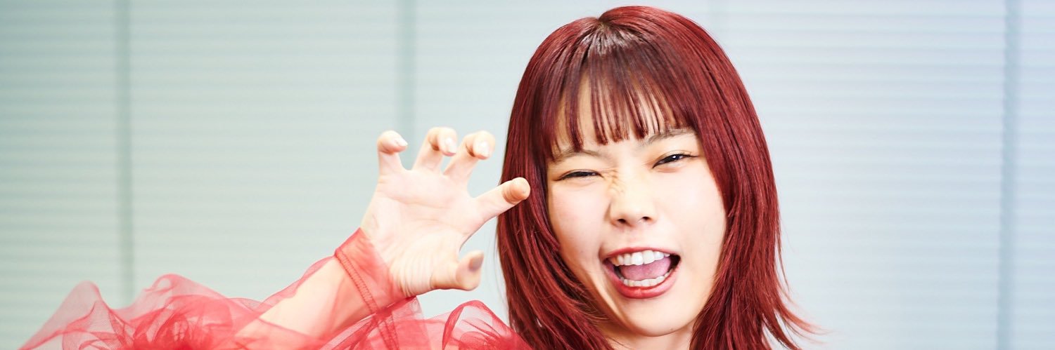 さすらいの猫🐾 banner