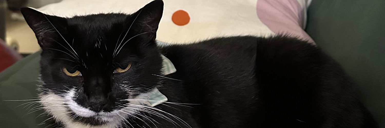 VoJeffo's profile banner image