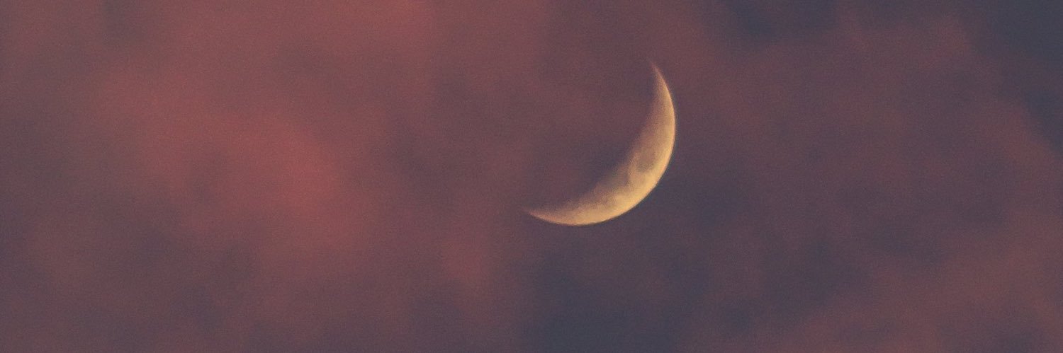 meelisisk's profile banner image