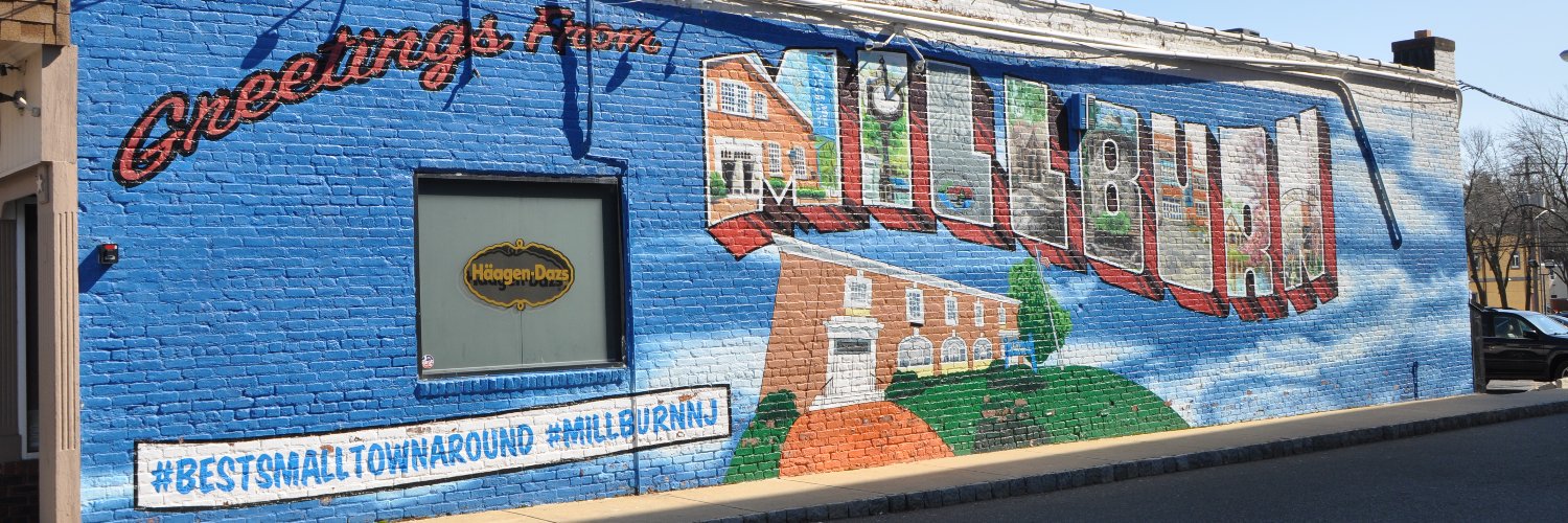 MillburnSHTAP's profile banner image