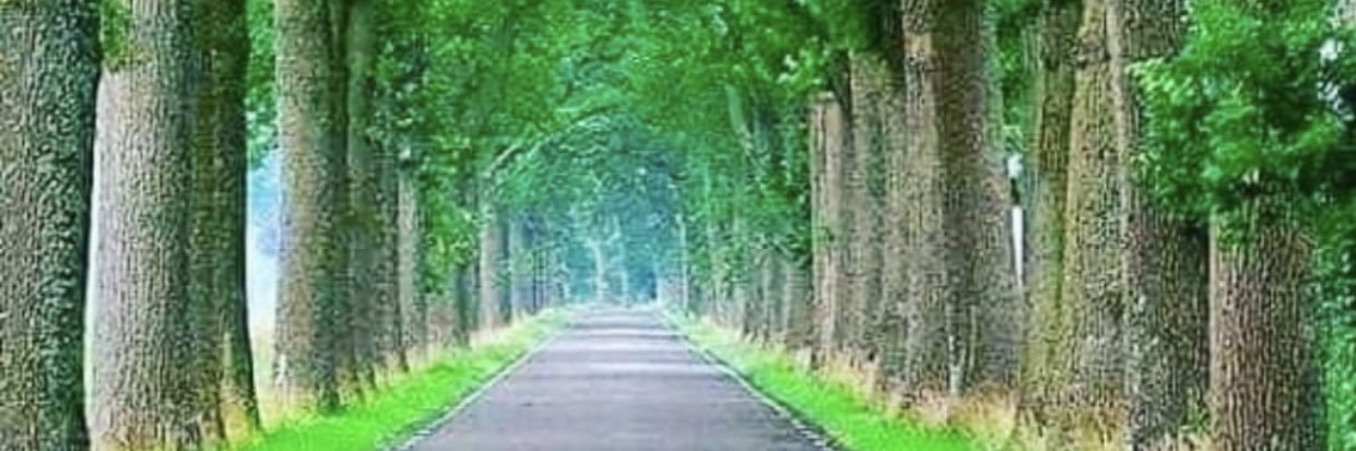 America Bolsonaro banner