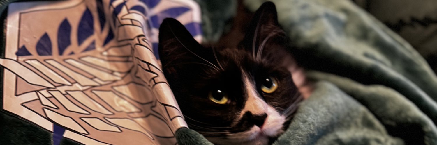 Jenny Fromdabloc banner