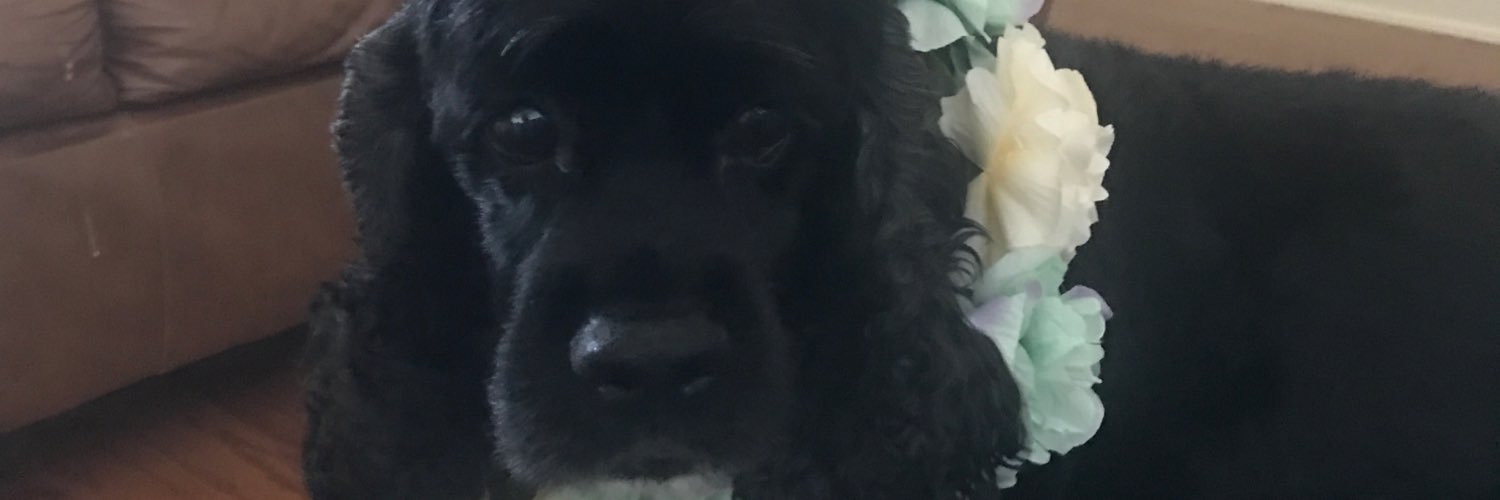PYT222's profile banner image