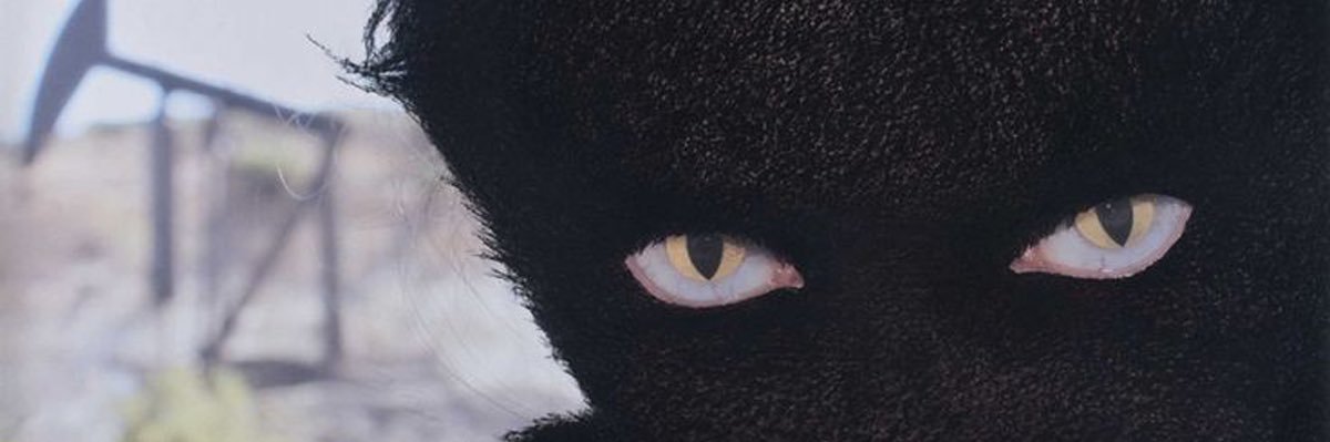 frostimonk's profile banner image