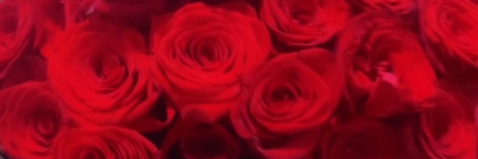 DLPTCARLOTA's profile banner image