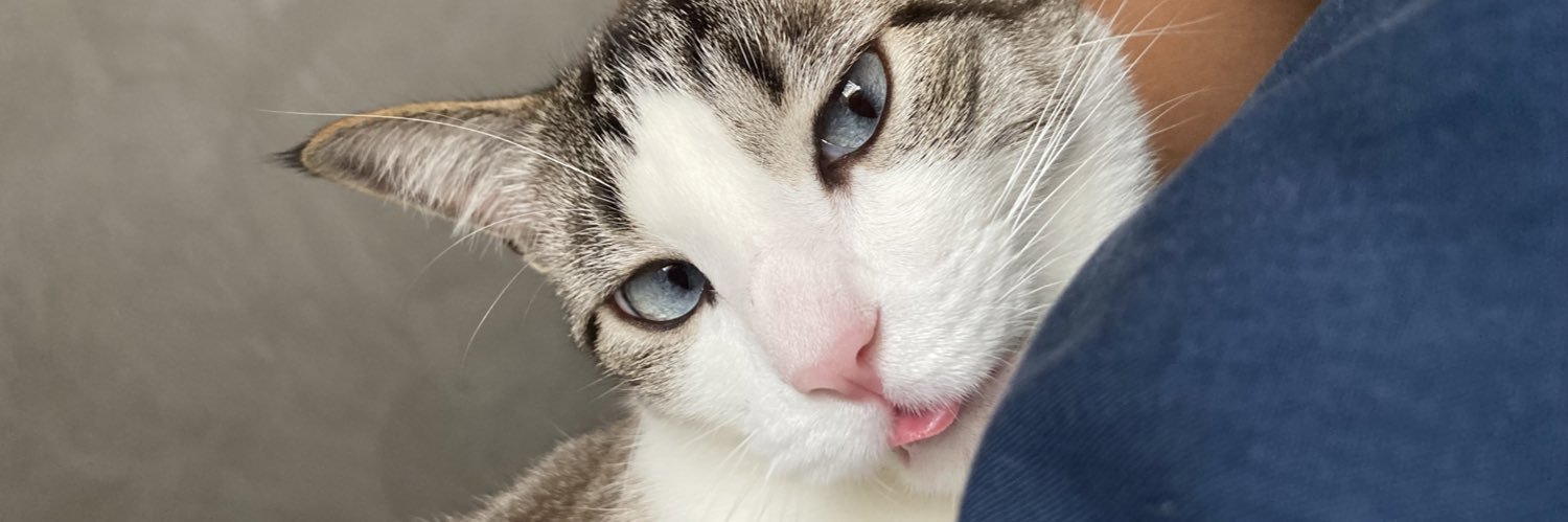 lpsmadu's profile banner image