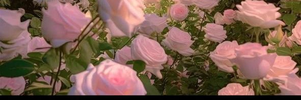 Ingrid24079111's profile banner image