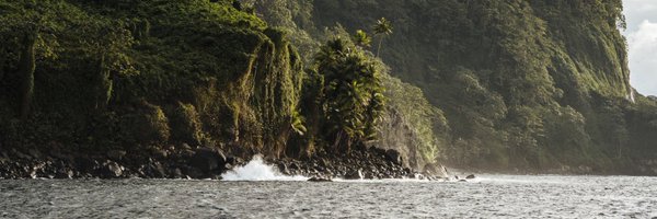 DBPhilanthropy Profile Banner