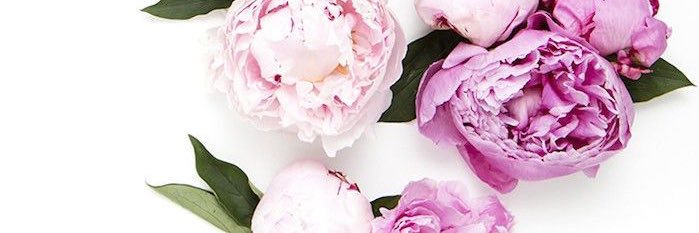 alybrunton's profile banner image