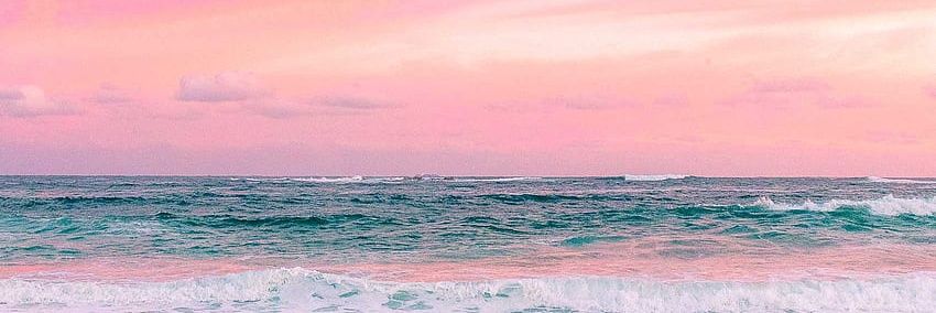 syaza ʕ´•ᴥ•`ʔ banner