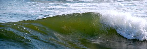 cocoa Profile Banner