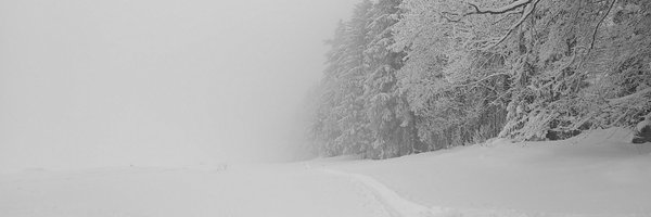 ZTruchlewski Profile Banner