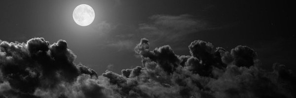 PoisonWhiskeyxx Profile Banner