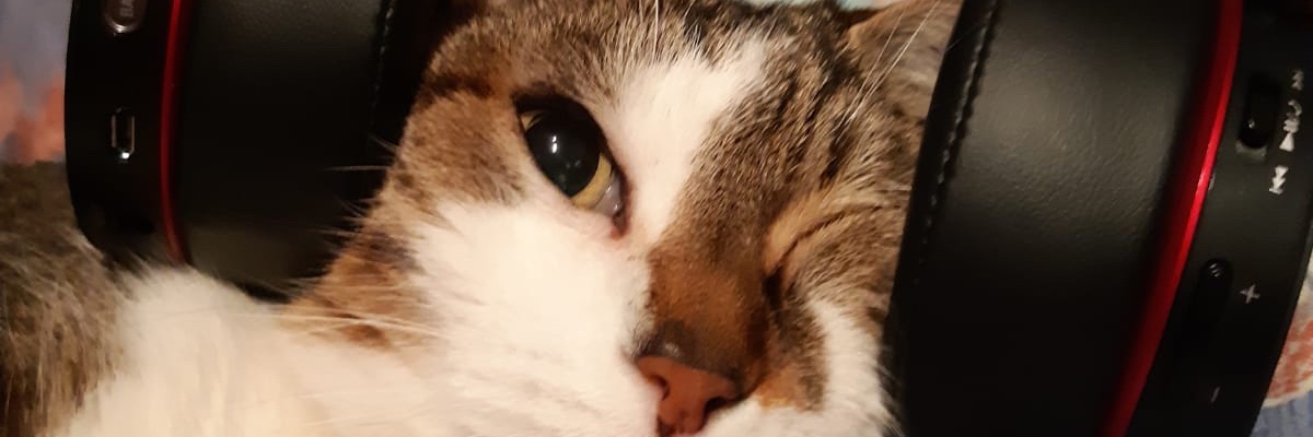 alwabdl's profile banner image