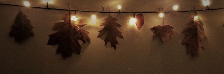 HateBroccoliUgh's profile banner image