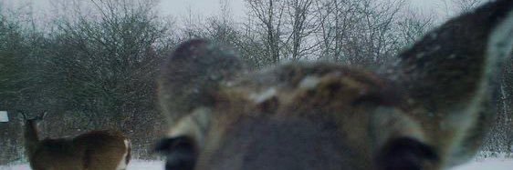 thggiex's profile banner image