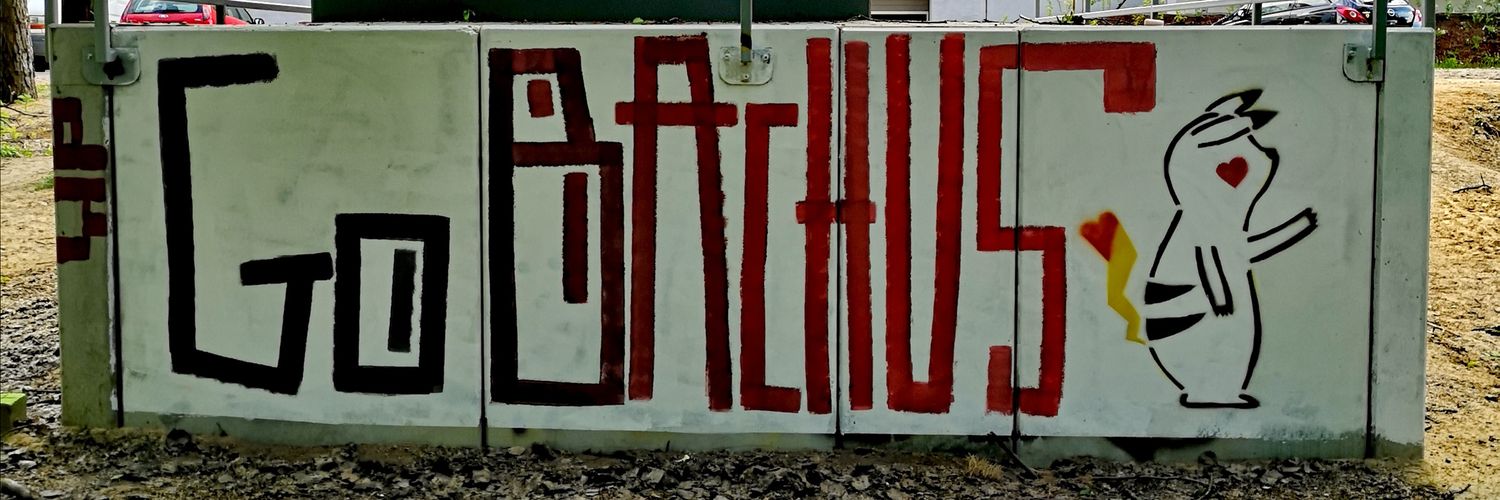 gobachus's profile banner image