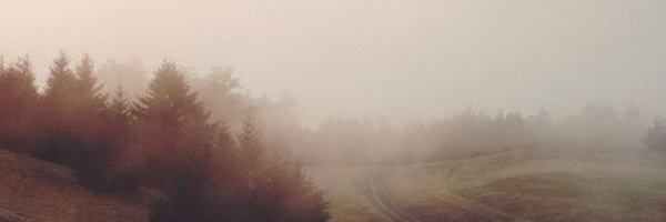 vmtrystardust Profile Banner