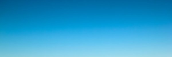 AliceBraga Profile Banner