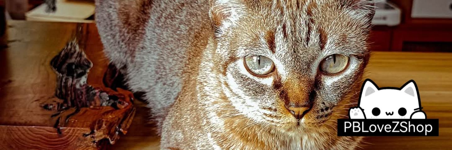 𝓟𝓪'𝓢𝓮𝓮 🐱🪽 รับทำเฟรมการ์ด 🌸 banner