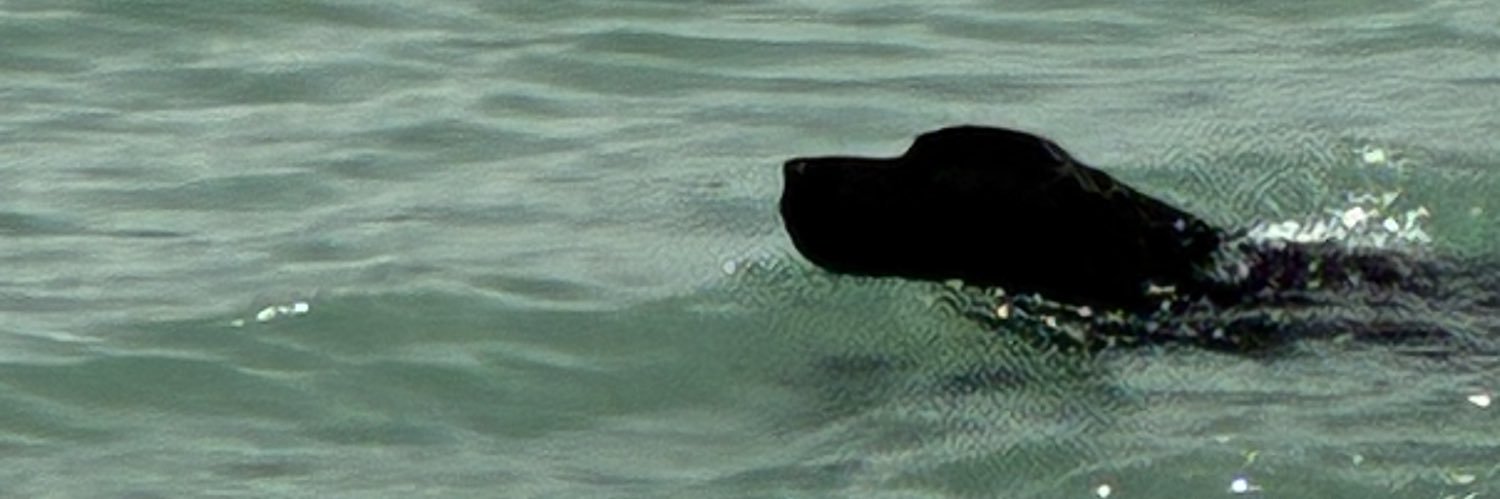Michael83067237's profile banner image
