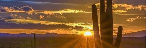 glendaw65's profile banner image