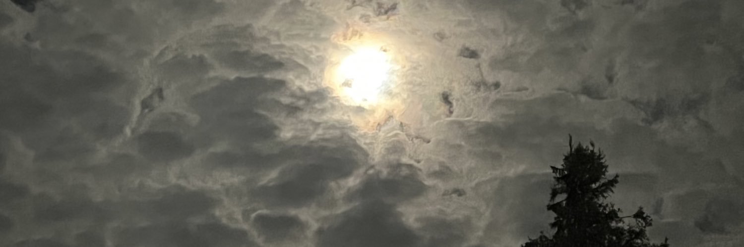 obeyshigh's profile banner image