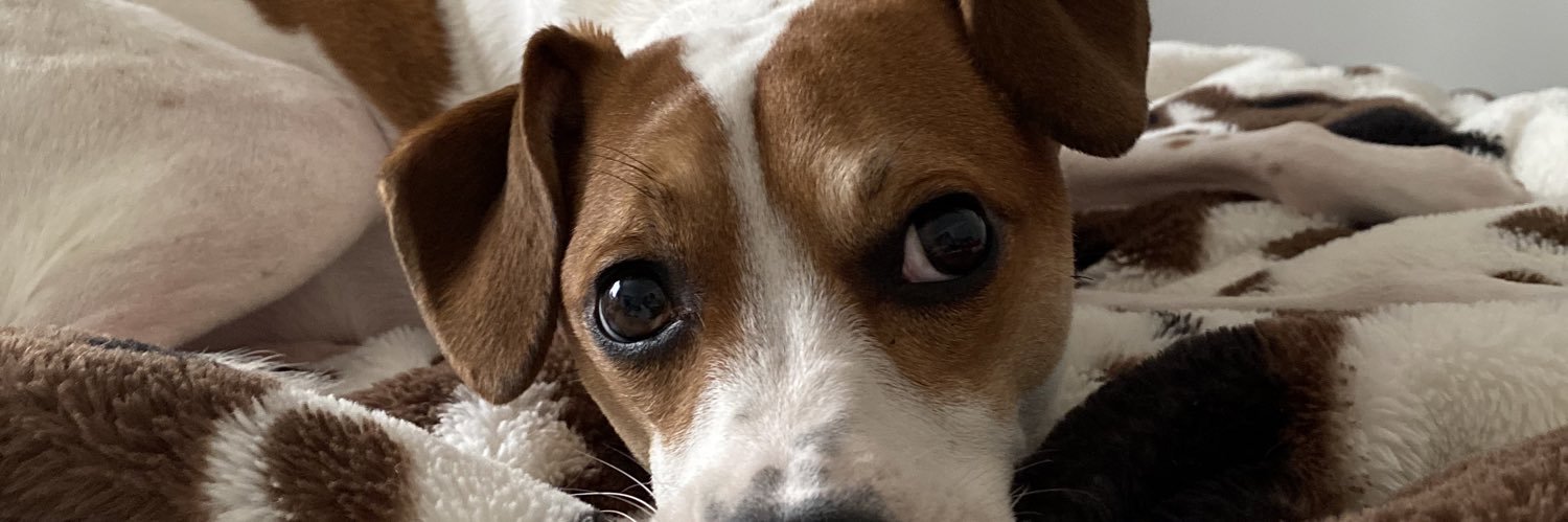 Preston Byers banner