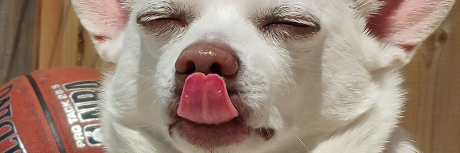 thisplaceisneet's profile banner image