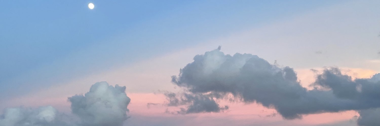charleeliz's profile banner image