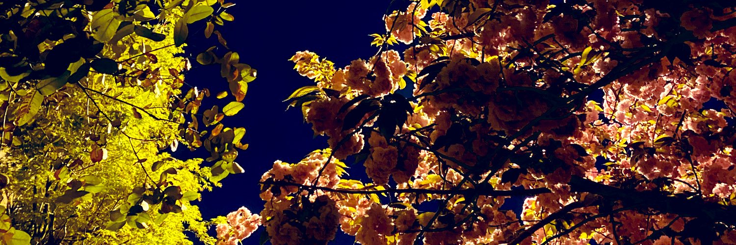 Aybaybare's profile banner image