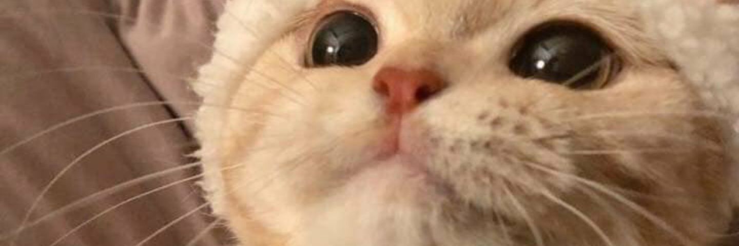 Matty_Emsley's profile banner image