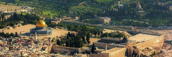 MyPalestine0 Profile Banner