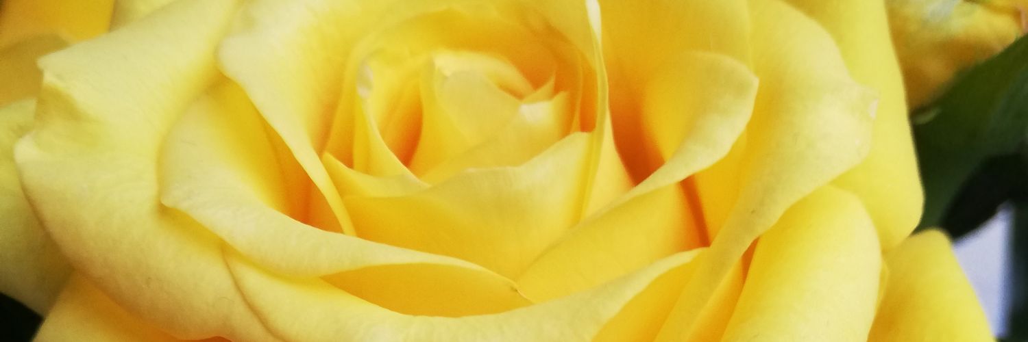 roxiegroom1's profile banner image