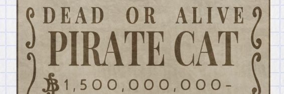Pirate Cat 🏴‍☠️'s banner