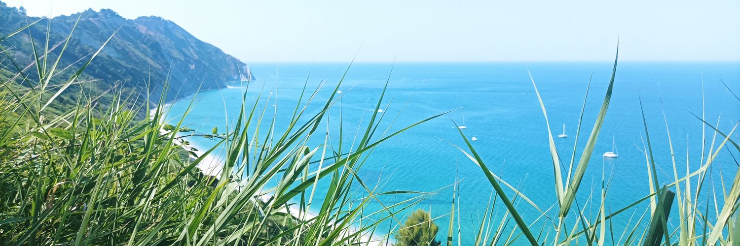 Cinzia C's banner