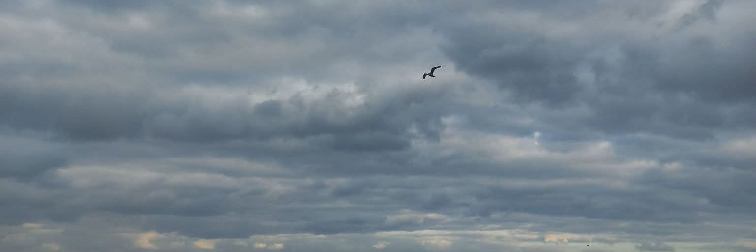 ندى banner