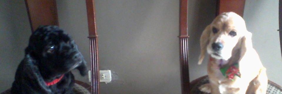 DesireLazo's profile banner image